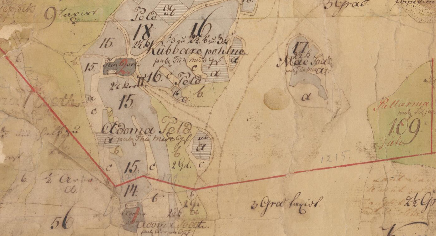 T&uuml;&uuml; ja Vaaduma ~1800