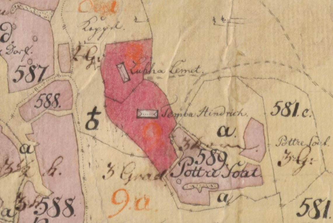 Luha ja T&otilde;mba