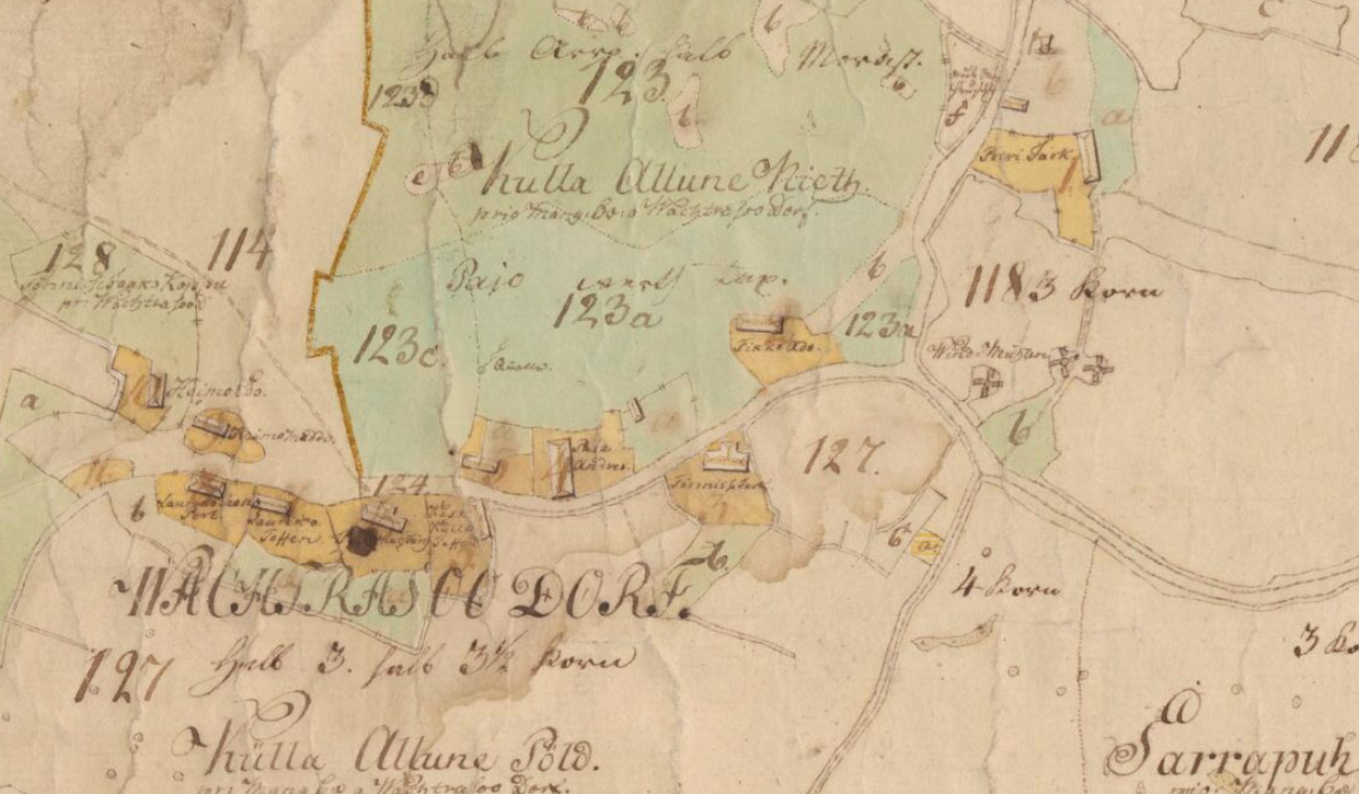 Vahtraste 1799.a kaardil